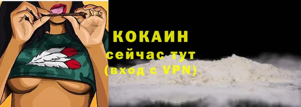 стаф Абдулино