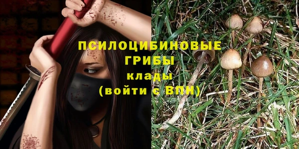 стаф Абдулино