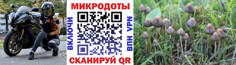 OMG ТОР Княгинино Галлюциногенные грибы Magic Shrooms